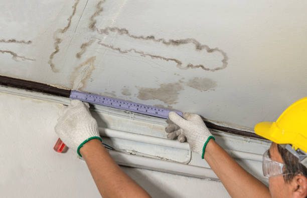 Reliable Basement Water Removal contractor in Whitesville, WV by Water Damage Irwin